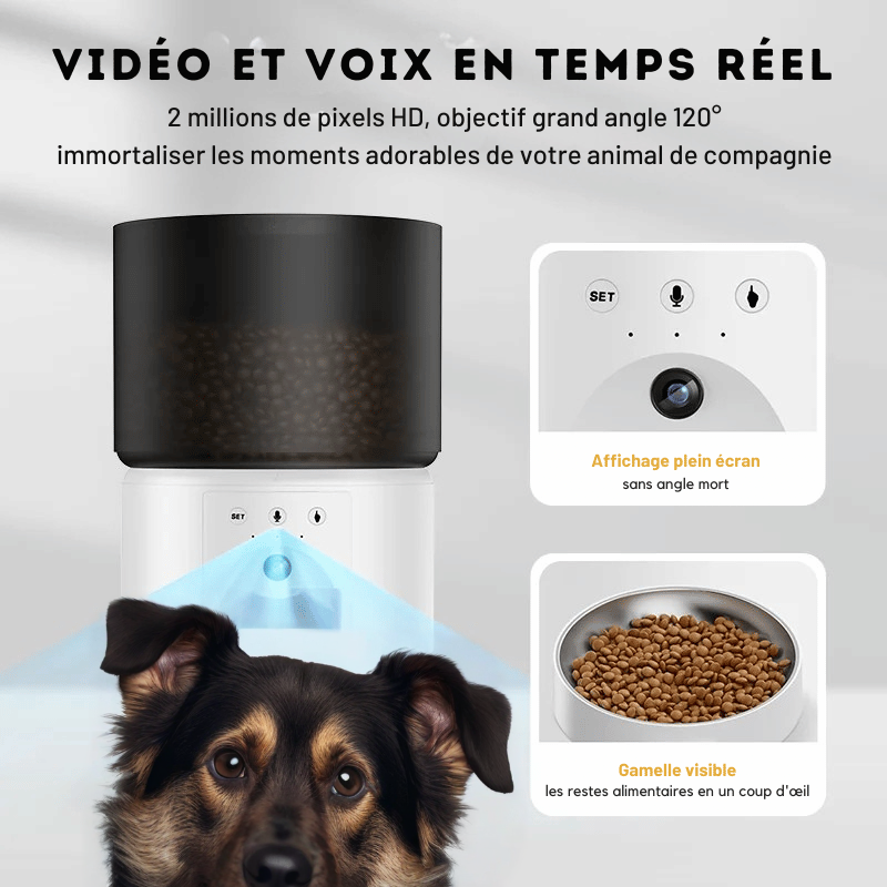 Distributeur Automatique De Croquette Pour Chien