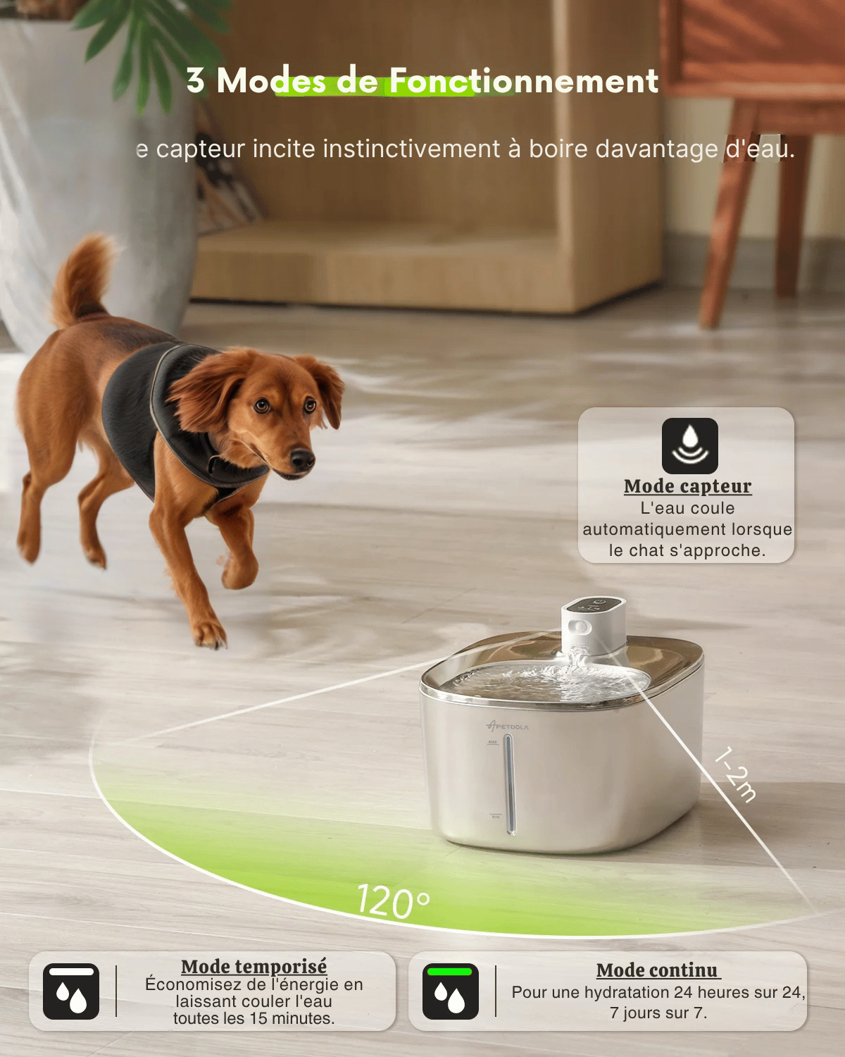 Fontaine à Eau Pour Chien Sans Fil