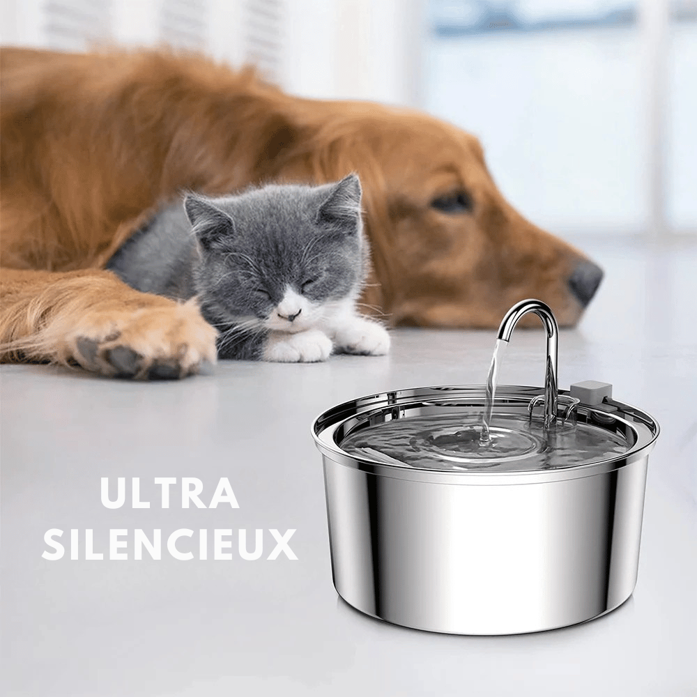 Fontaine à Eau Inox Chat