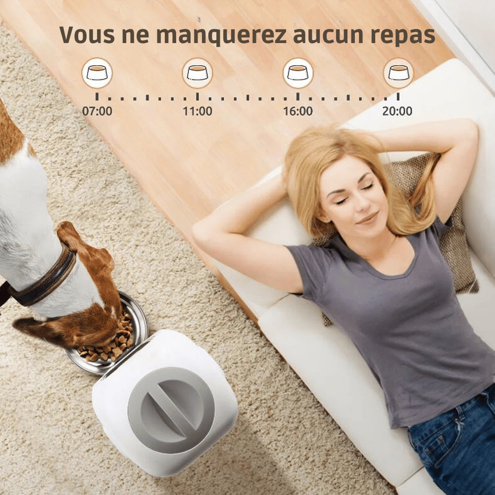 Distributeur De Croquettes Pour Chien Programmable