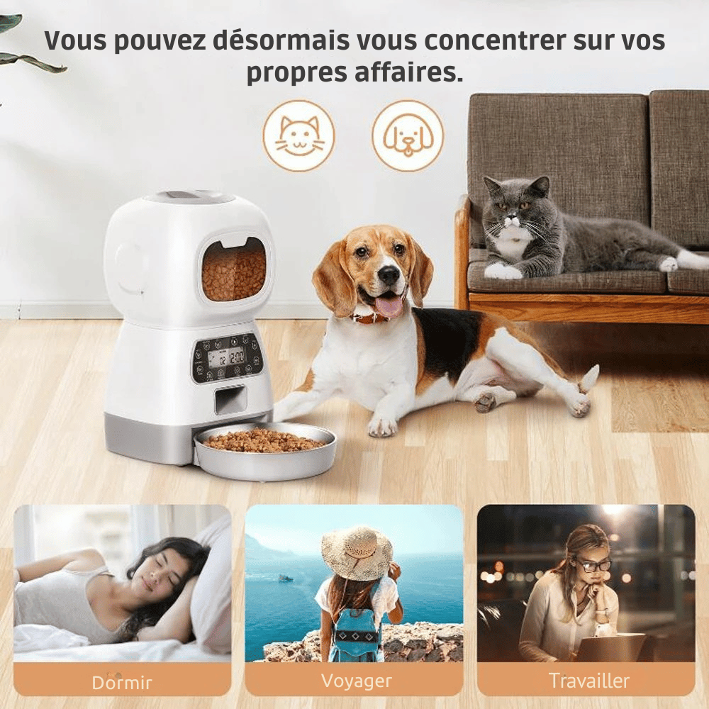 Distributeur De Croquettes Pour Chien Programmable