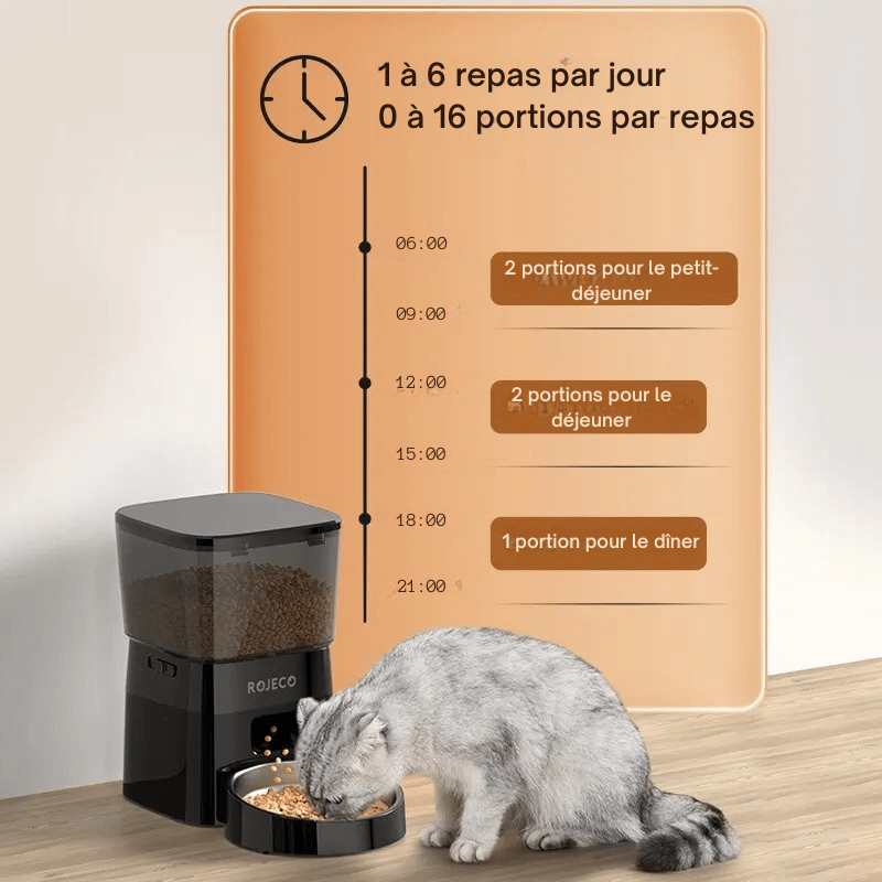 Distributeur Automatique Croquettes Chat