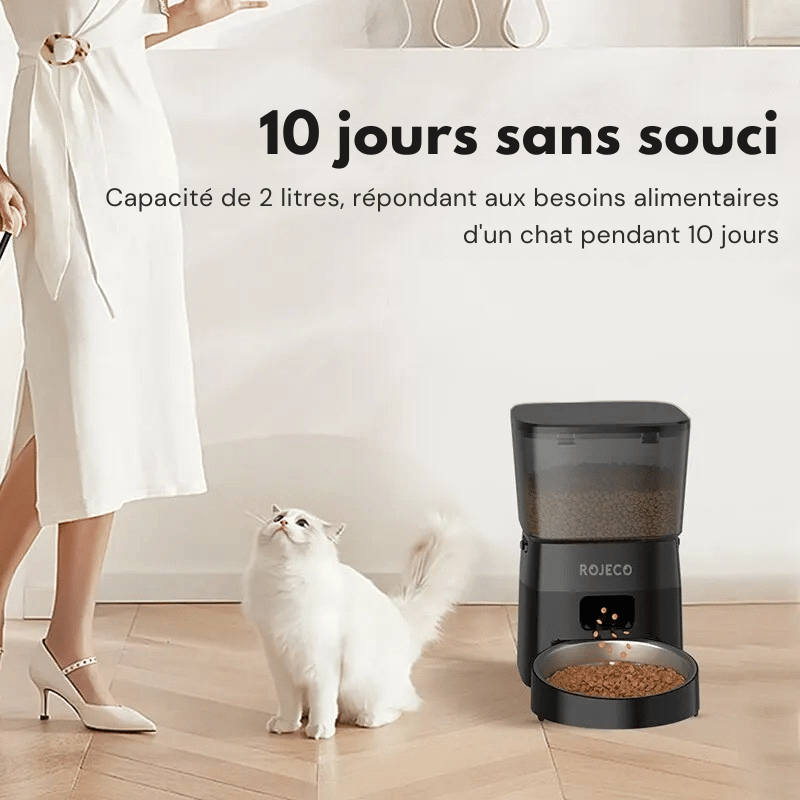 Distributeur Automatique Croquettes Chat