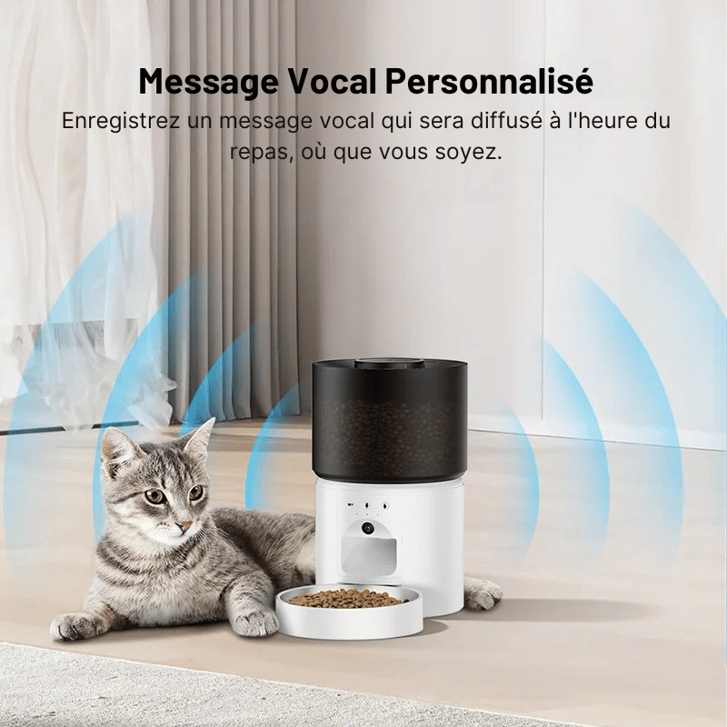 Meilleur Distributeur Automatique De Croquettes Pour Chat Avec Caméra