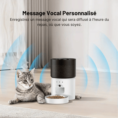 Meilleur Distributeur Automatique De Croquettes Pour Chat Avec Caméra