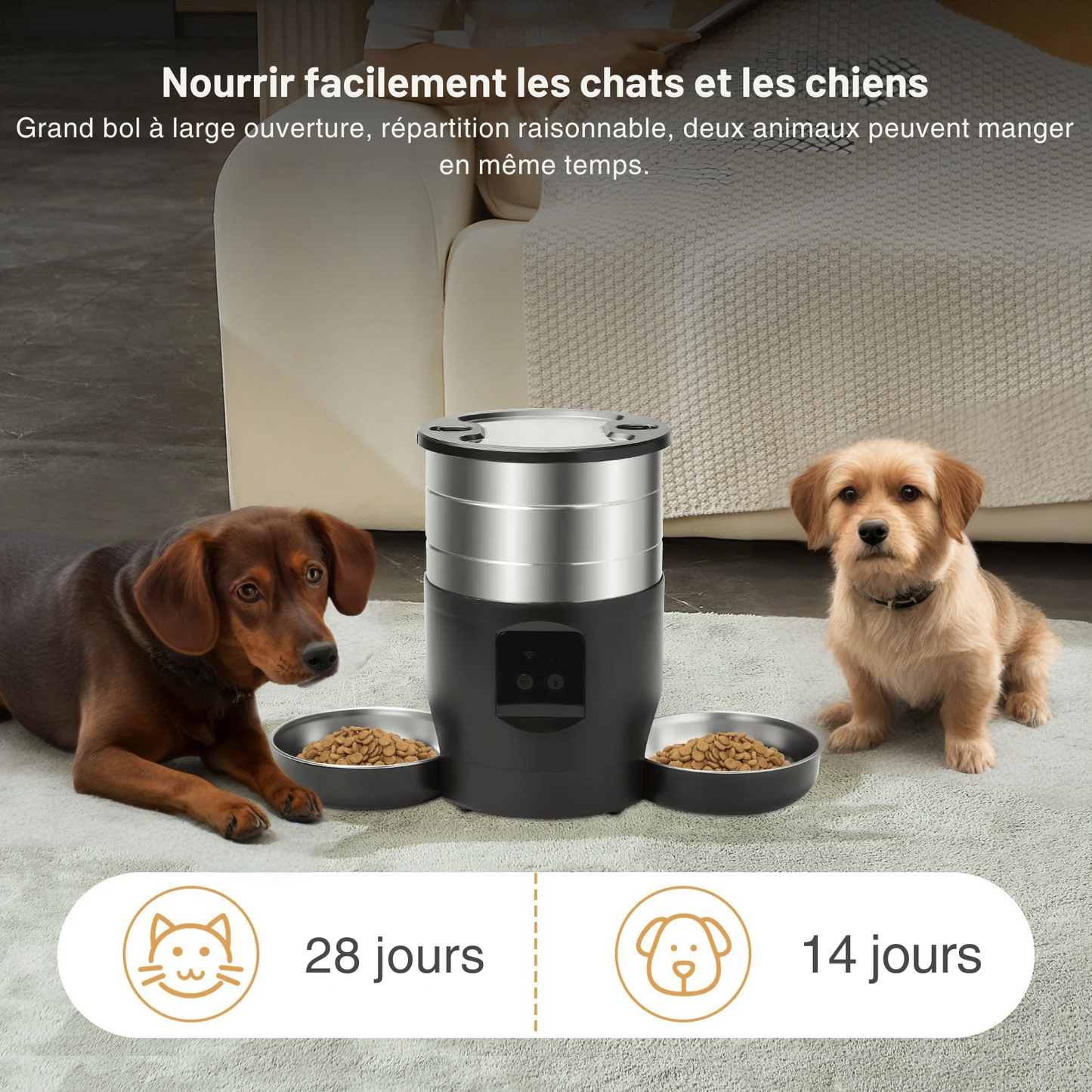 Distributeur Croquette Gros Chien
