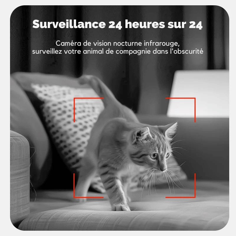 Meilleur Distributeur Automatique De Croquettes Pour Chat Avec Caméra