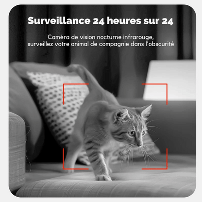 Meilleur Distributeur Automatique De Croquettes Pour Chat Avec Caméra