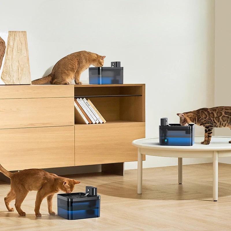 Fontaine à Eau Automatique Pour Chat