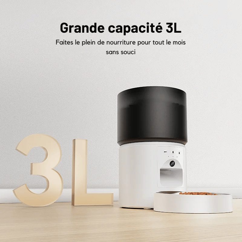 Distributeur Automatique De Croquette Pour Chien