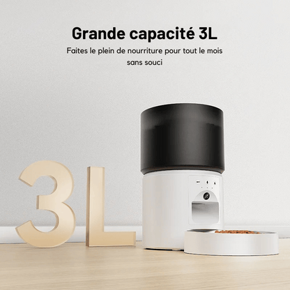 Distributeur Automatique De Croquette Pour Chien