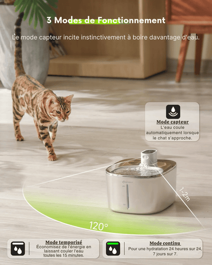 Fontaine à Eau Chat Sans Électricité