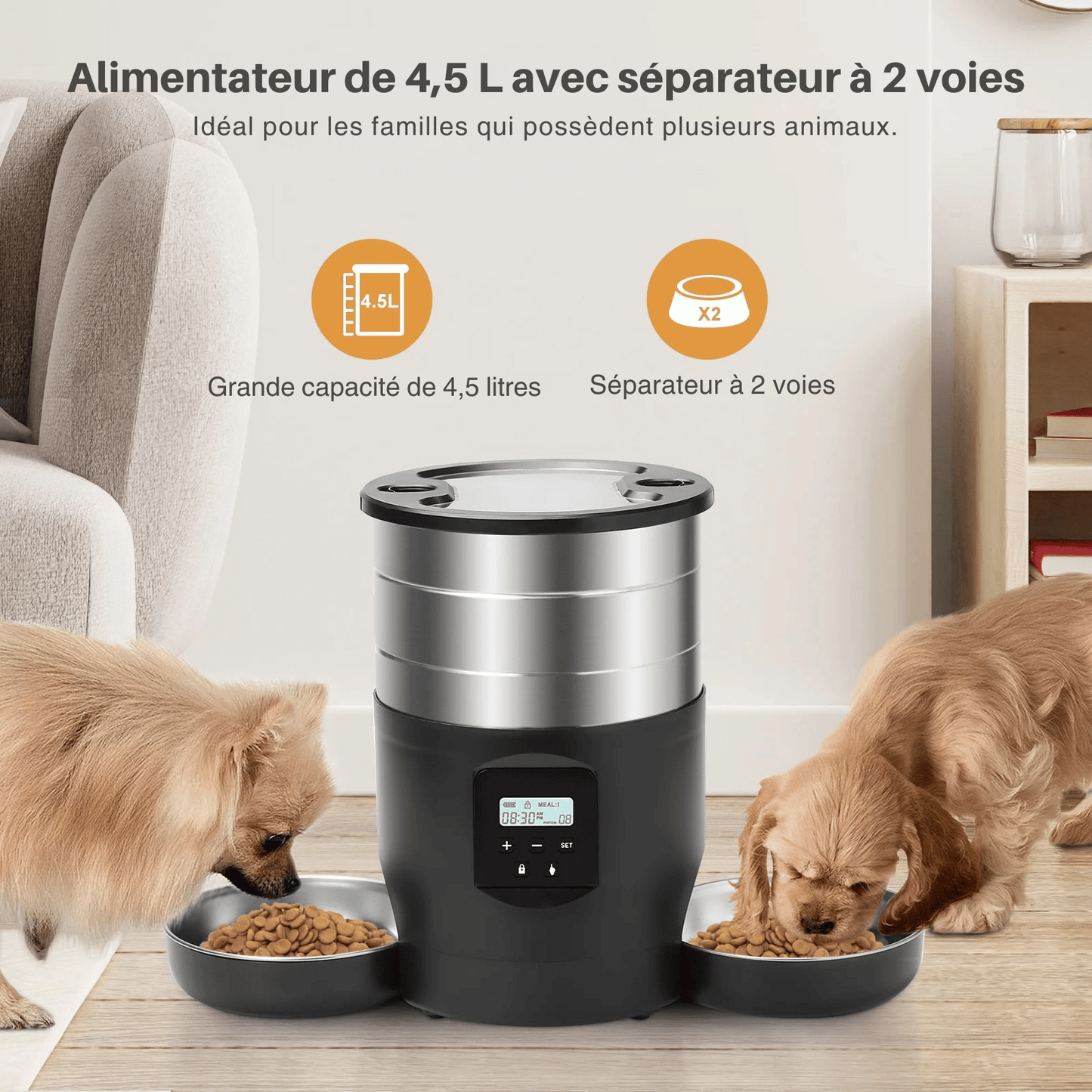 Distributeur Croquette Gros Chien