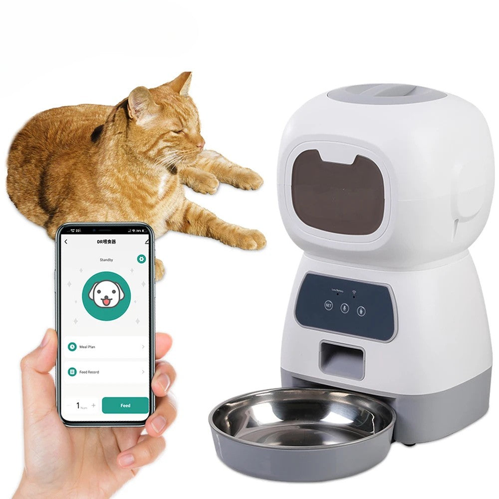 Distributeur Croquettes Pour Chat Programmable