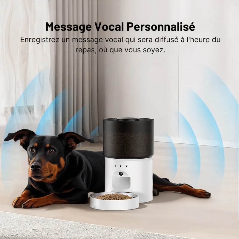 Distributeur Automatique De Croquette Pour Chien