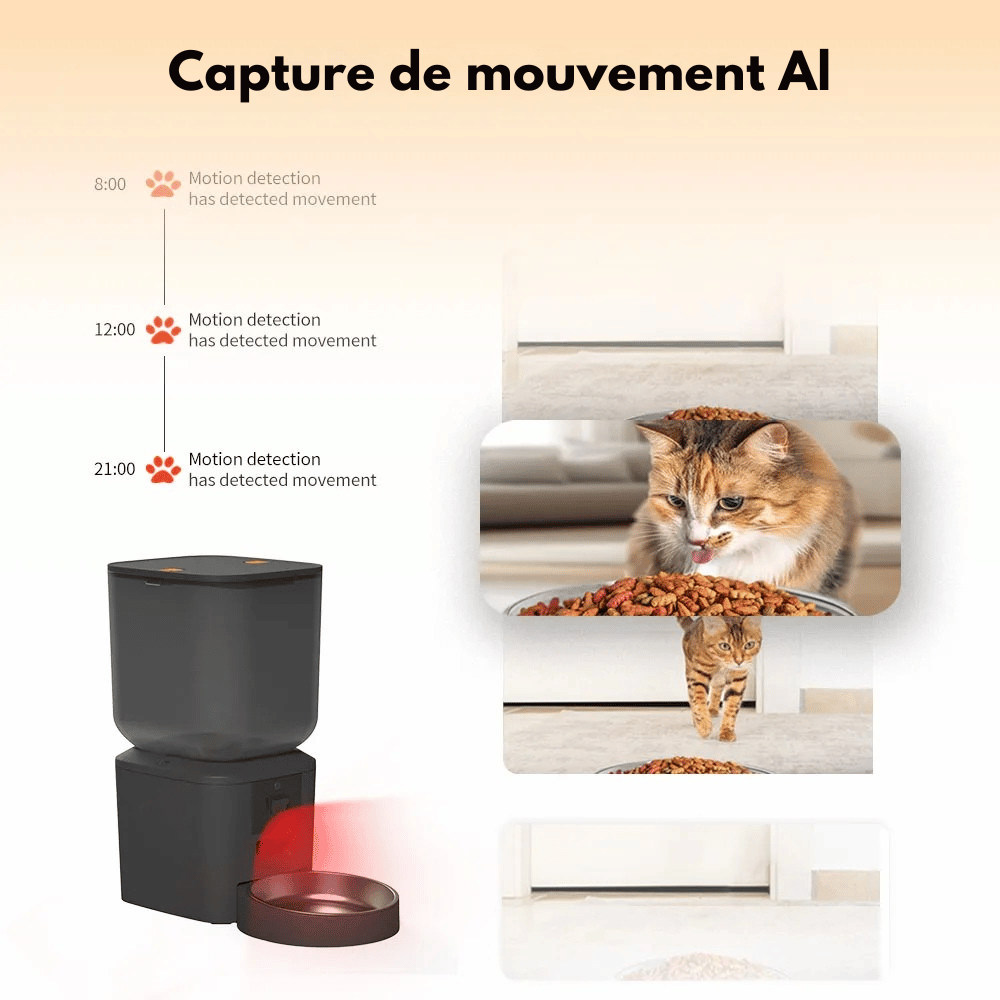 Distributeur De Croquette Pour Gros Chien Automatique