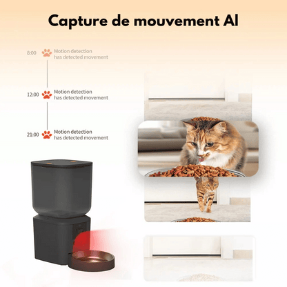 Distributeur De Croquette Pour Gros Chien Automatique