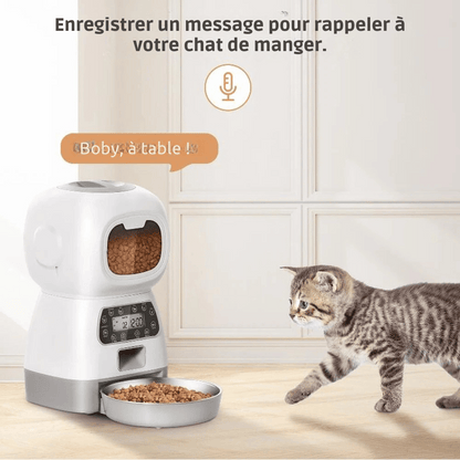 Distributeur Croquettes Pour Chat Programmable