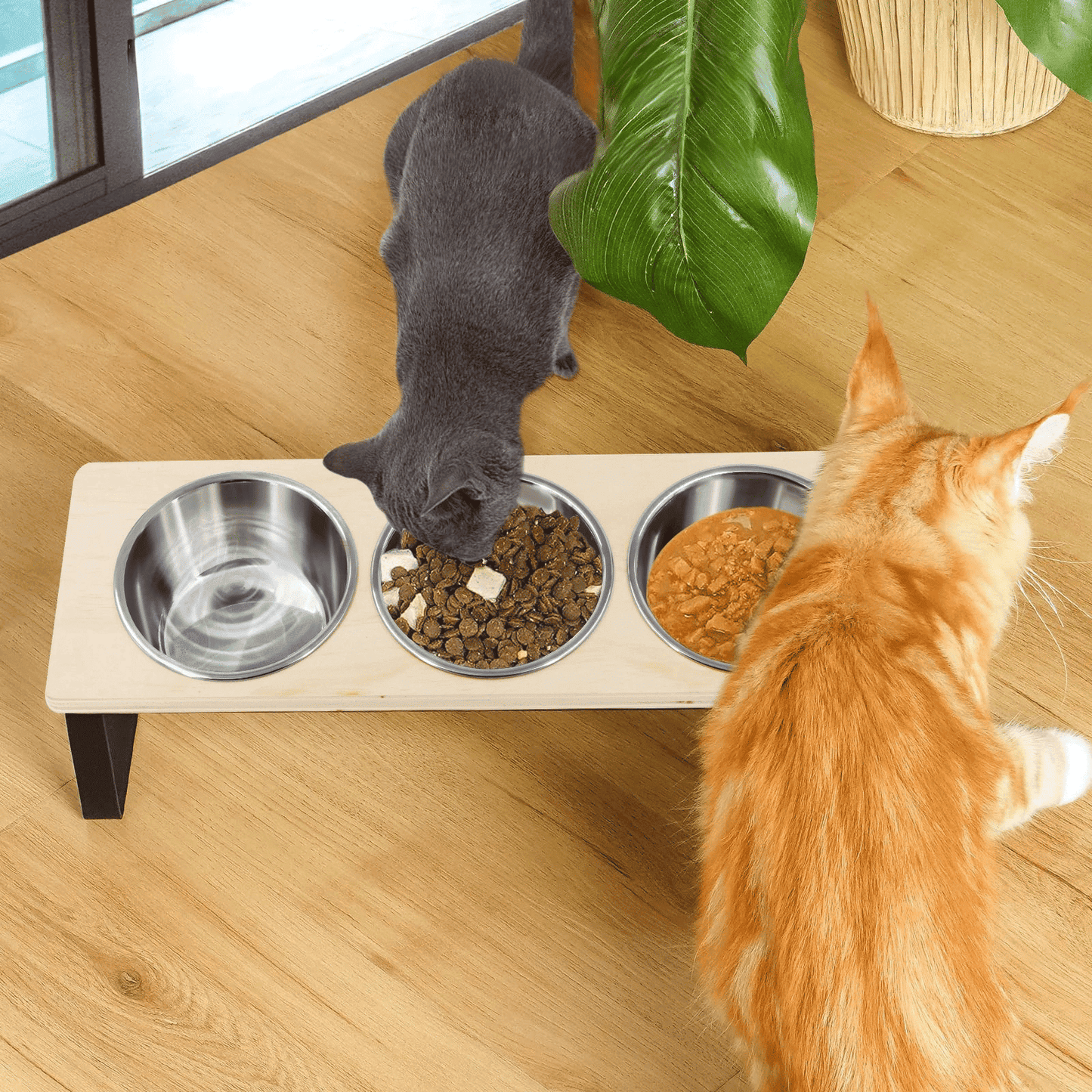 Gamelle En Hauteur Pour Chat