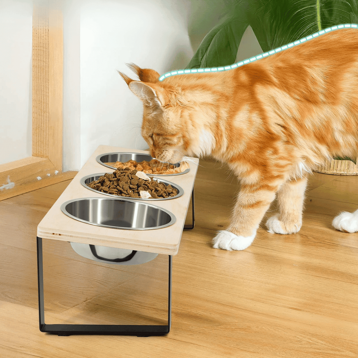 Gamelle En Hauteur Pour Chat
