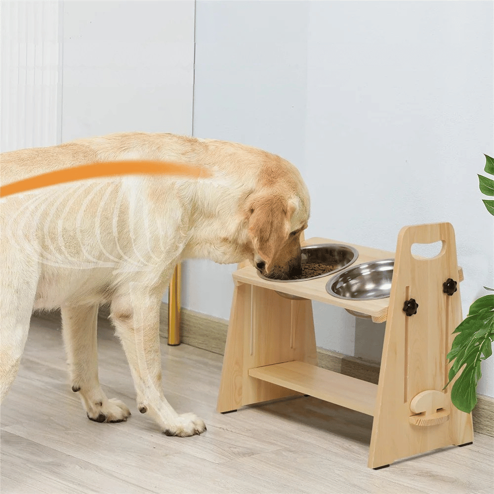 Gamelles Surélevées Pour Chiens