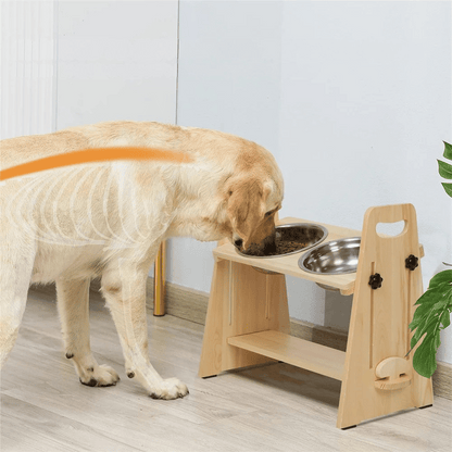 Gamelles Surélevées Pour Chiens