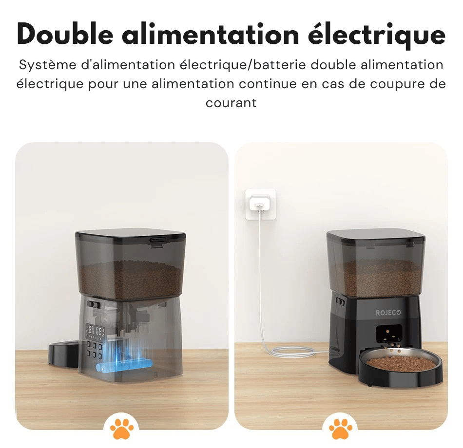 Distributeur Automatique Croquettes Chat