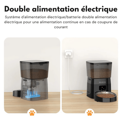Distributeur Automatique Croquettes Chat