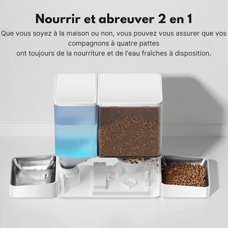 Distributeur Automatique De Croquettes Et D'eau Pour Chat