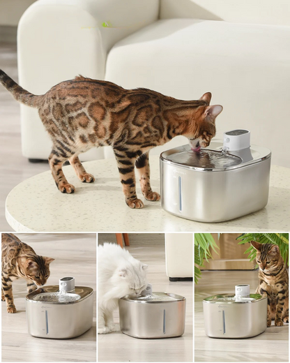 Fontaine à Eau Chat Sans Électricité