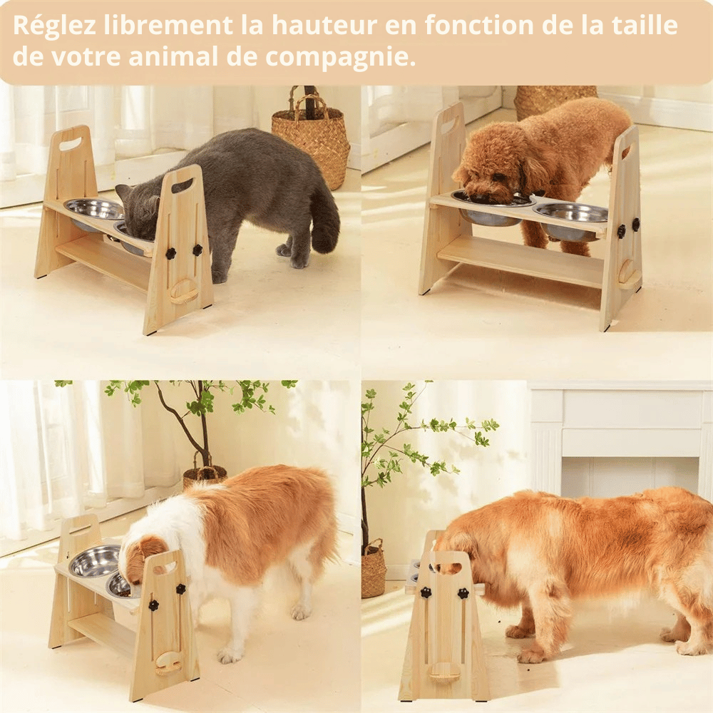 Gamelles Surélevées Pour Chiens