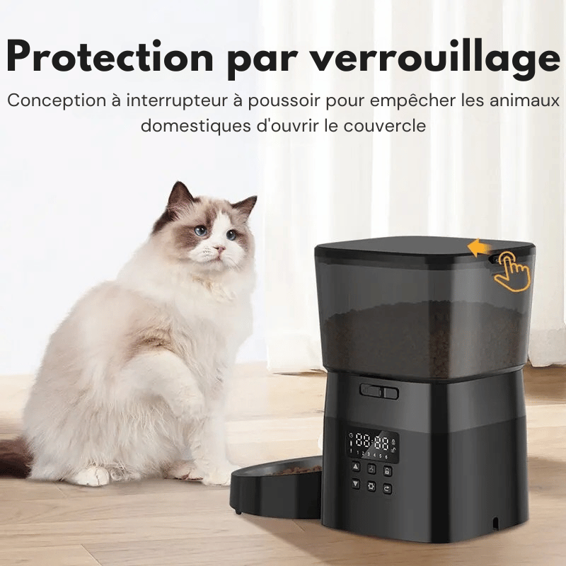Distributeur Automatique Croquettes Chat