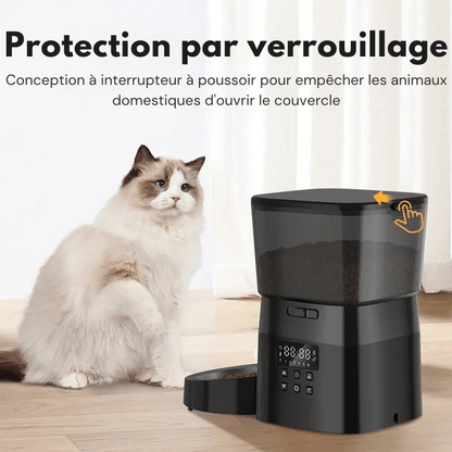 Distributeur Automatique Croquettes Chat