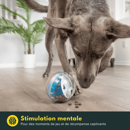 Jouet Friandise Chien