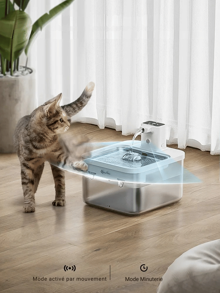 Fontaine à Eau Chat Silencieuse | Blanc