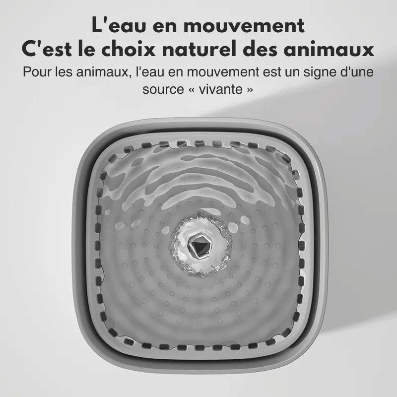 Fontaine à Eau Chat Céramique