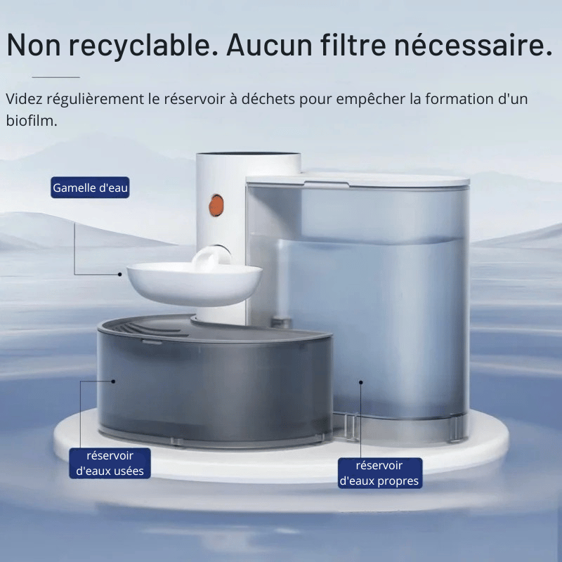 Distributeur D'eau Pour Chien Automatique