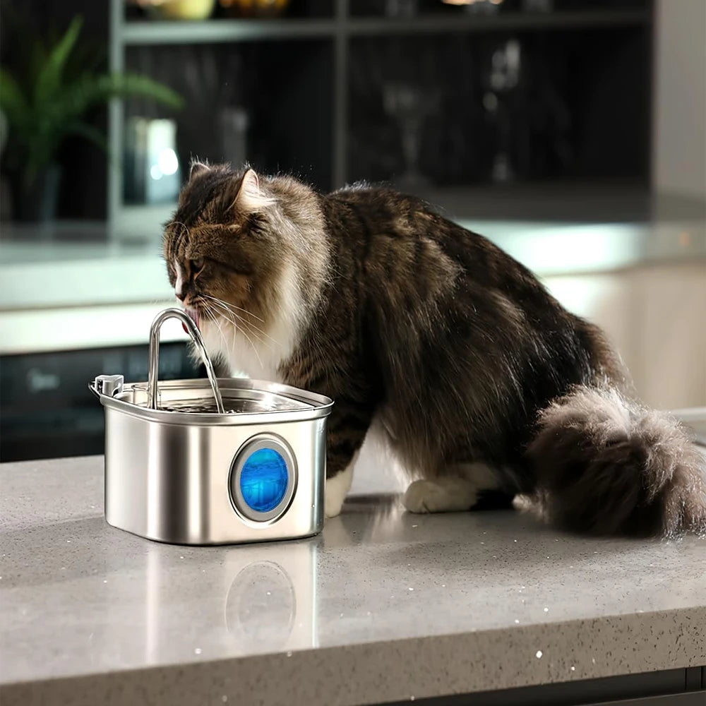 Fontaine à Eau Pour Chat Acier Inoxydable