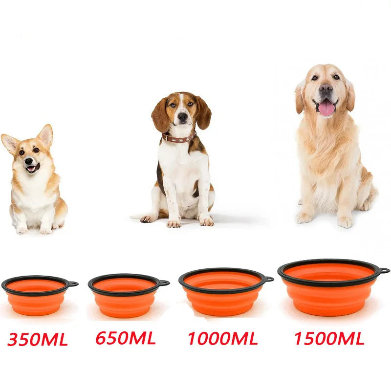 Gamelle Pliable Pour Chien