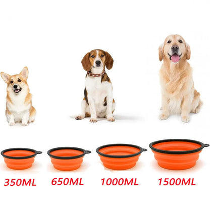 Gamelle Pliable Pour Chien