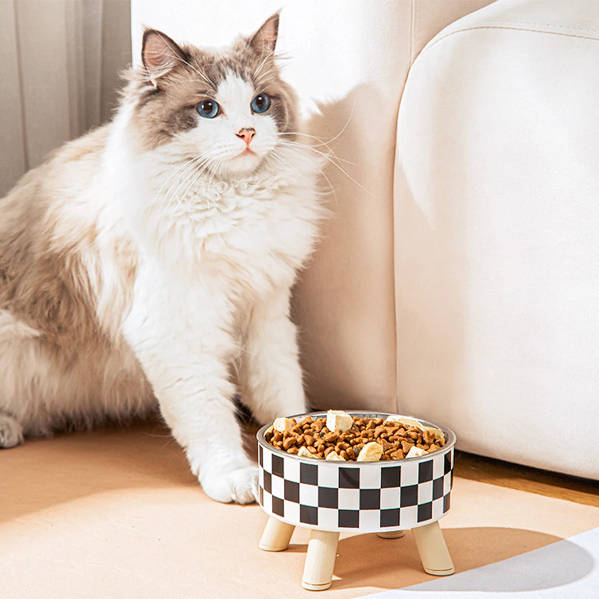 Gamelle Haute Pour Chat