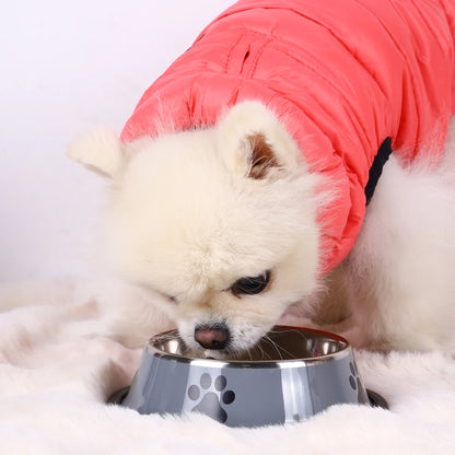 Gamelle En Inox Pour Chien