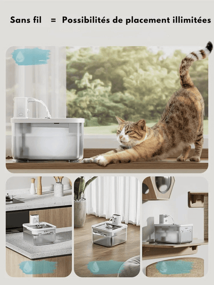 Fontaine à Eau Chat Silencieuse | Blanc