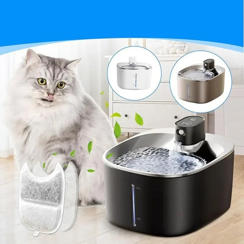 Fontaine à Eau Chat Sans Électricité | Filtre