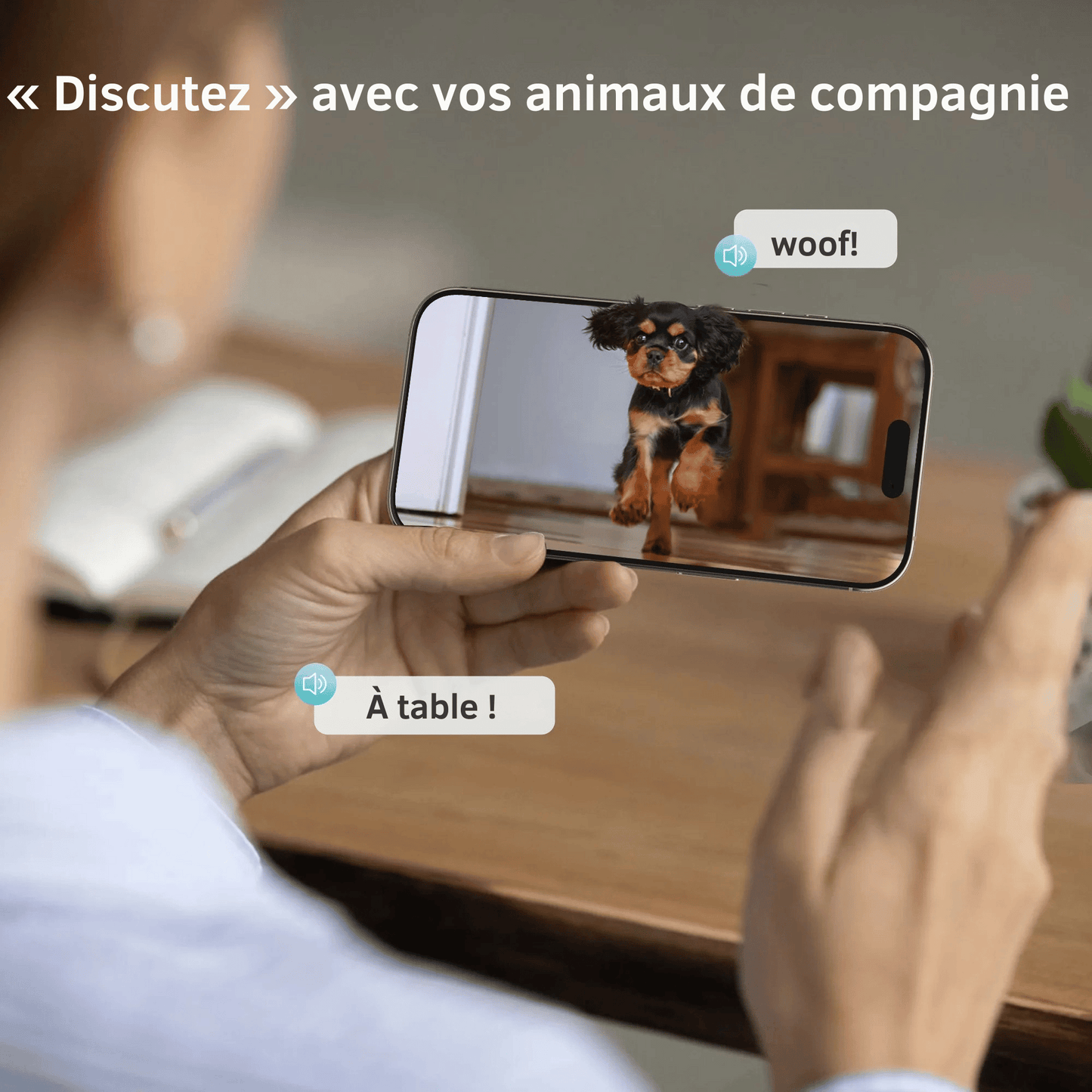 Distributeur De Croquette Pour Gros Chien Automatique