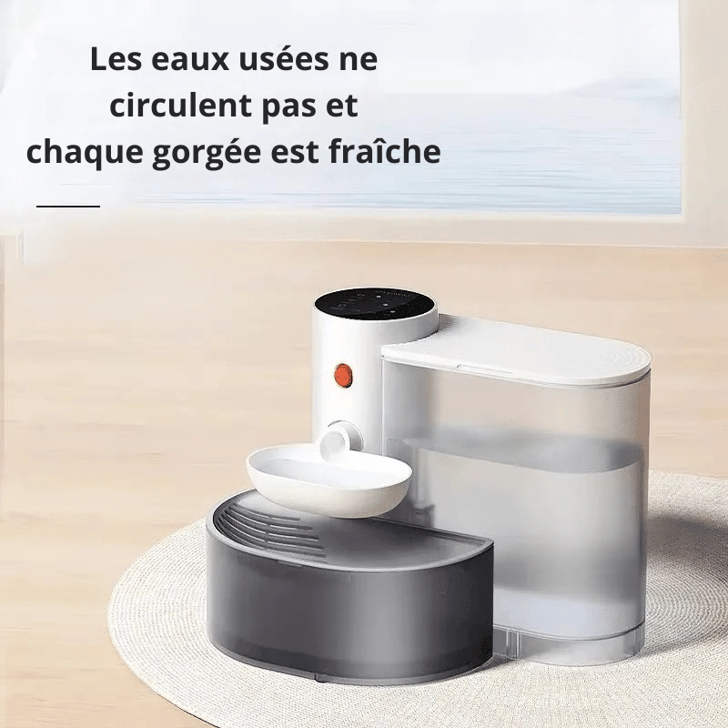 Distributeur D'eau Pour Chien Automatique