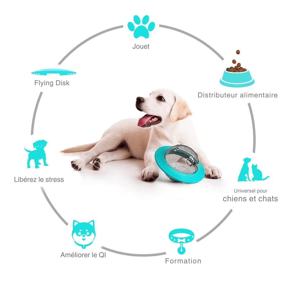 Jouet Distributeur De Friandises Pour Chien