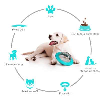 Jouet Distributeur De Friandises Pour Chien