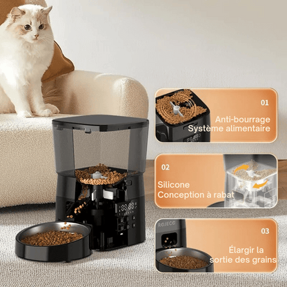 Distributeur Automatique Croquettes Chat