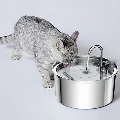 Fontaine à Eau Inox Chat